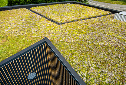 Sedumtaget på Sorø Bioenergi