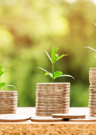 Billede af guldmønter i stakke